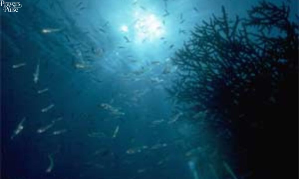 Deepen My Love for You