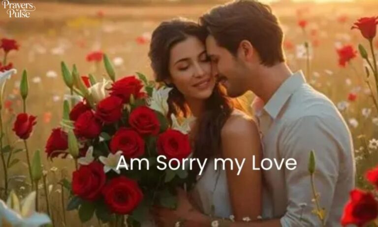 181+ Romantic And Heart Touching Apology Message To My Love