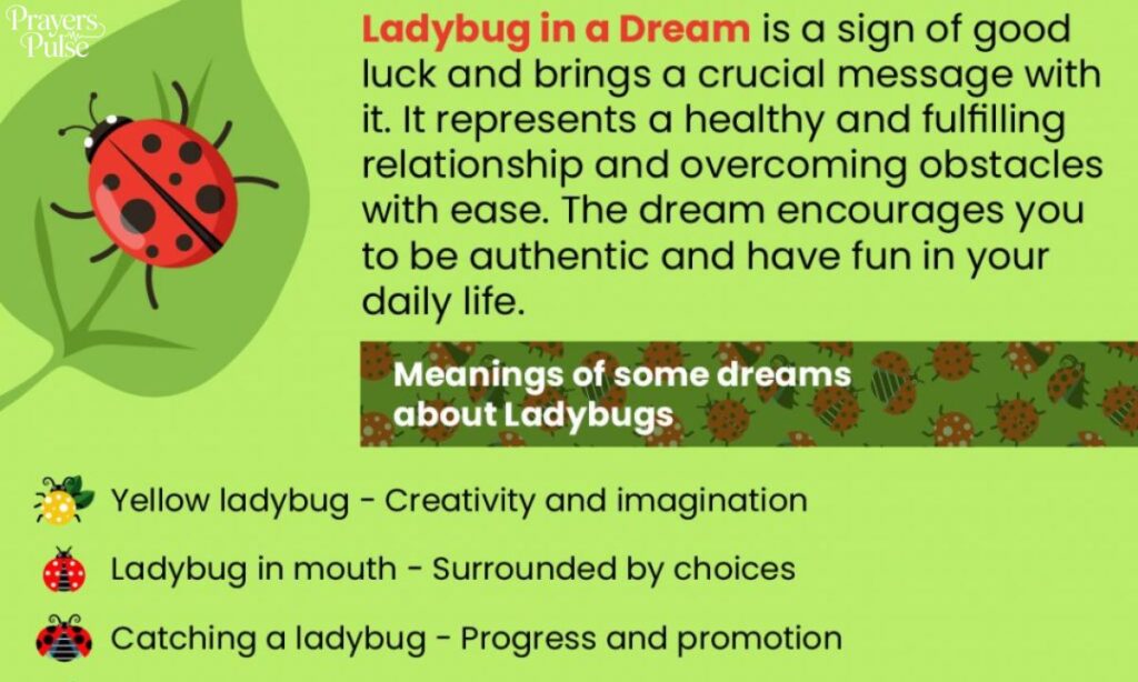 The Divine Spiritual Meaning of Ladybugs