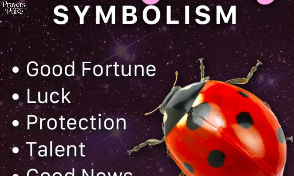 What Does Seeing a Ladybug Symbolize Spiritually?